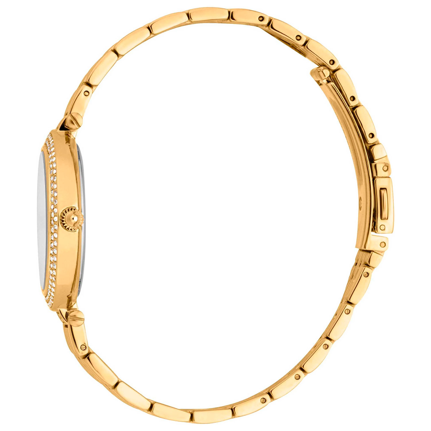 Just Cavalli JC1L274M0055_SET